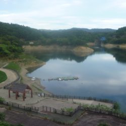 ナマズ狙いのはずが