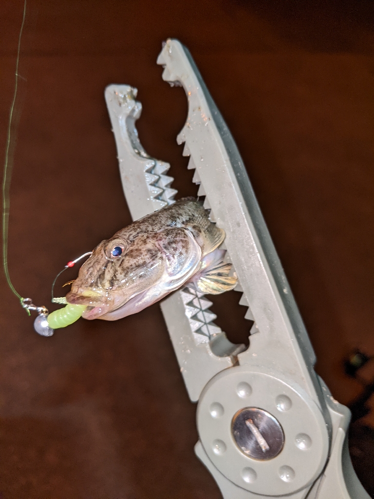 ボッチアジング