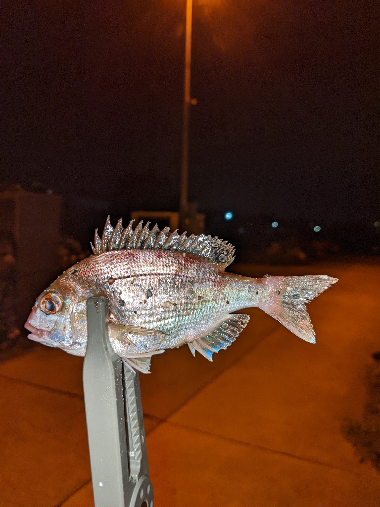 なんとかなった(^o^)