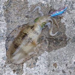 血と汗と墨(後半戦)