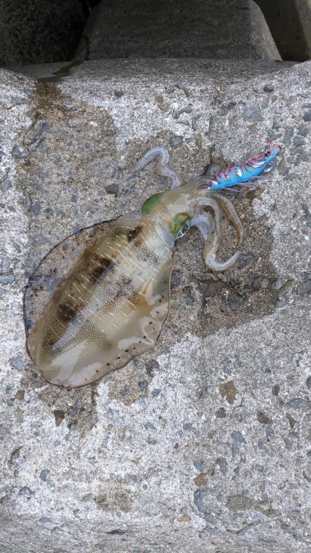 血と汗と墨(後半戦)