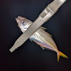 レベルアップ？