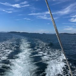 無限タチウオとカワハギ釣りに