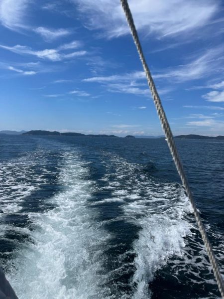 無限タチウオとカワハギ釣りに