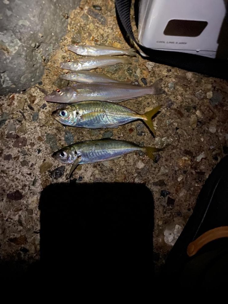 ライトちょい投げキスゲーム