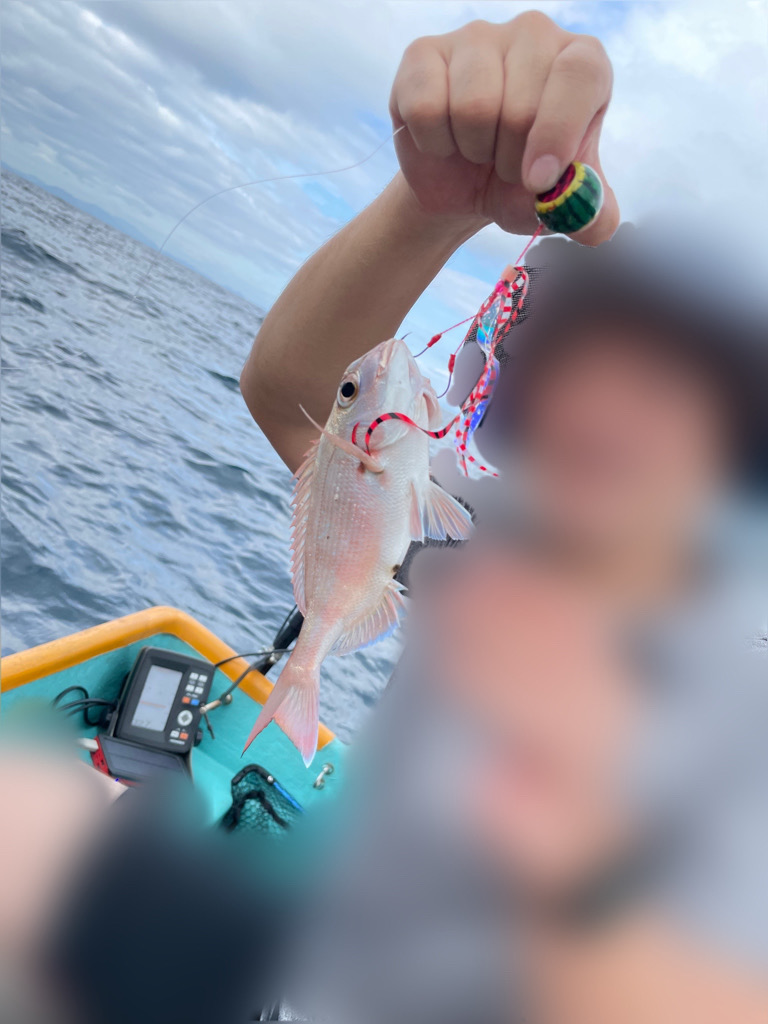 タイラバ　ハタ祭り