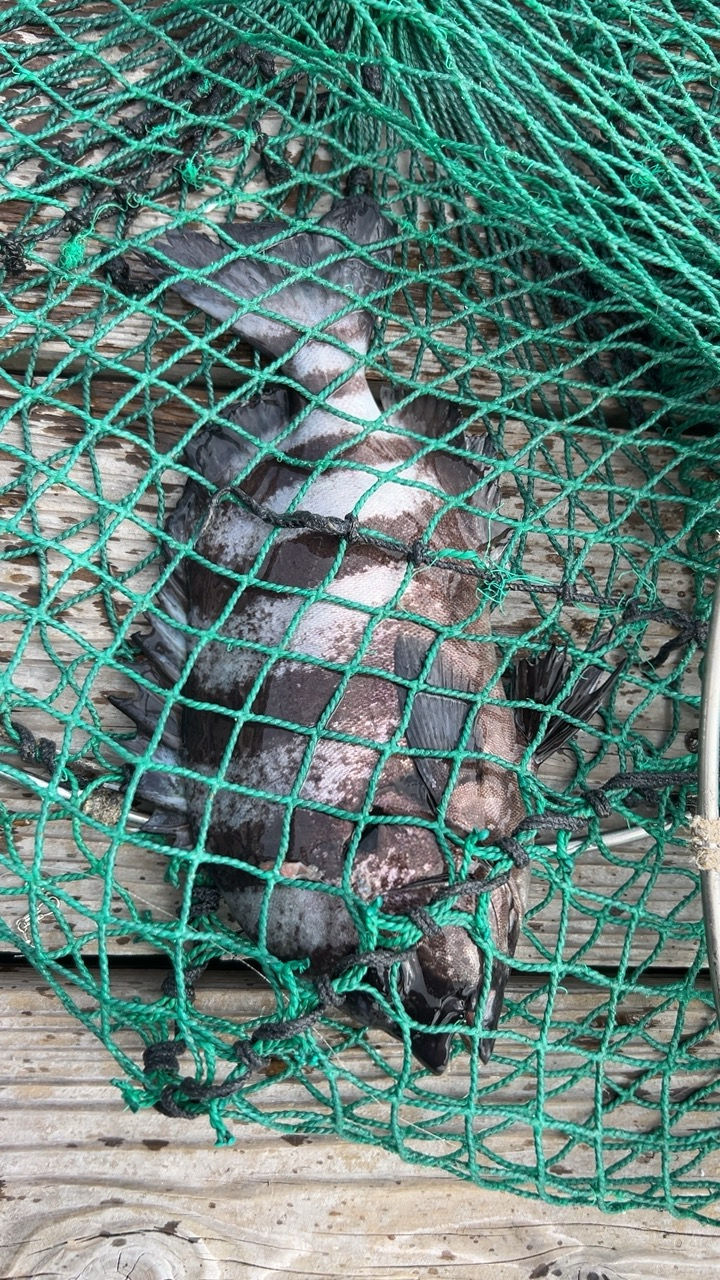 自分は渋かった(T ^ T)