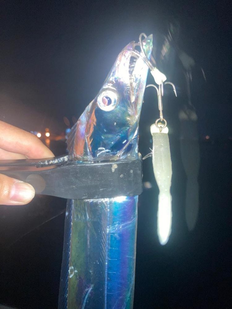 2023ライトゲーム第31選