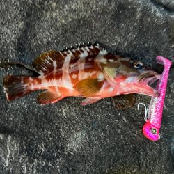 苦しい時のジャックアイTGスイム