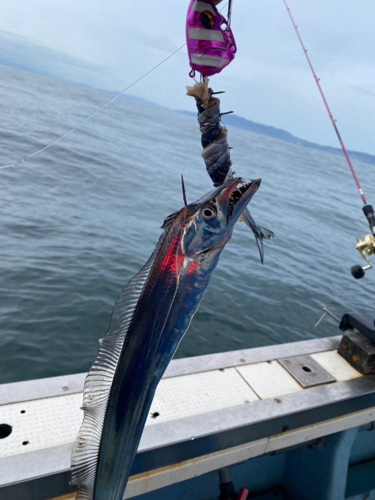 太刀魚釣り　純栄丸