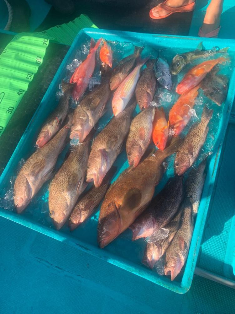 初めてづくしでしたー！