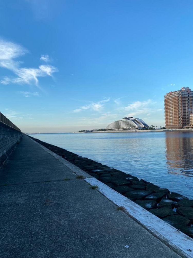 チヌ43センチ他にボラなど