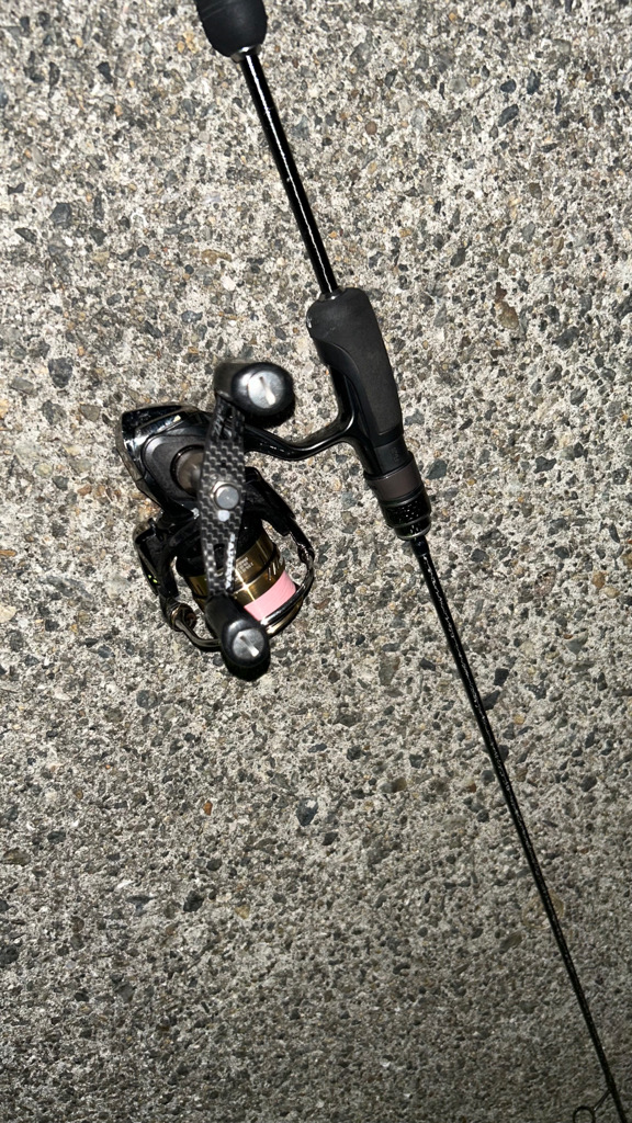 豆アジ今日はいい感じ