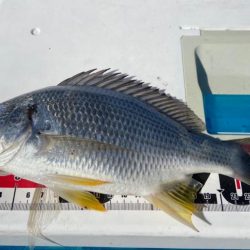 ちょい投げシロギスタのガッシーチャレンジ