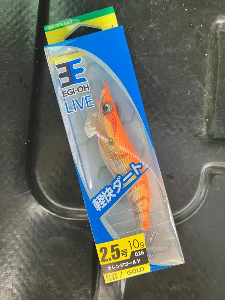 ナイトエギング(^.^)