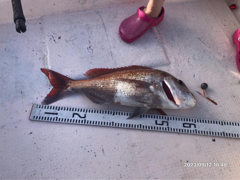 9/12 伊島沖　ジギング　タイラバ