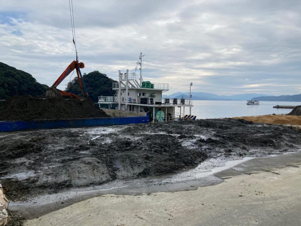 アコウがいいな