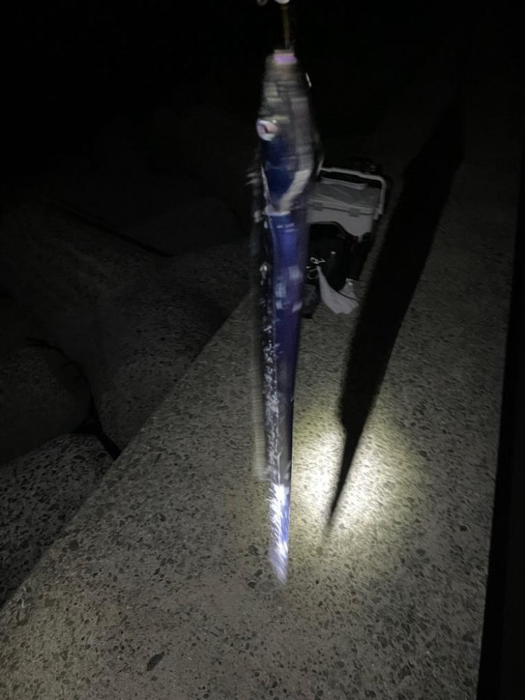 人工島で、ショアジギング