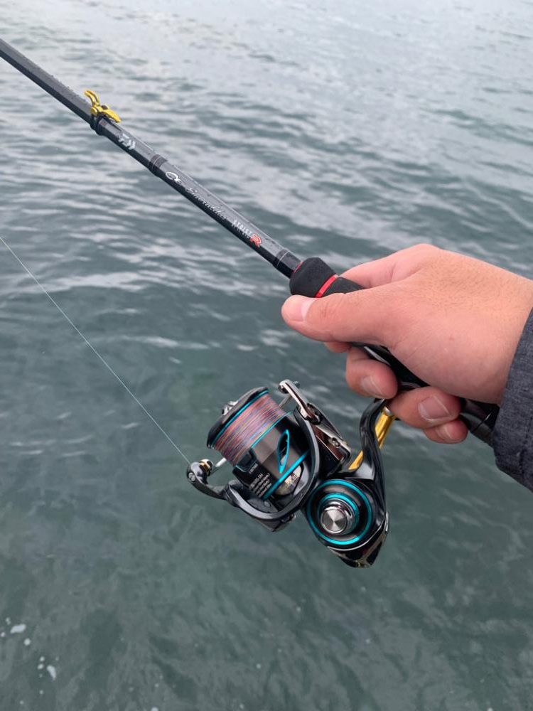 曇りのエギングDAY