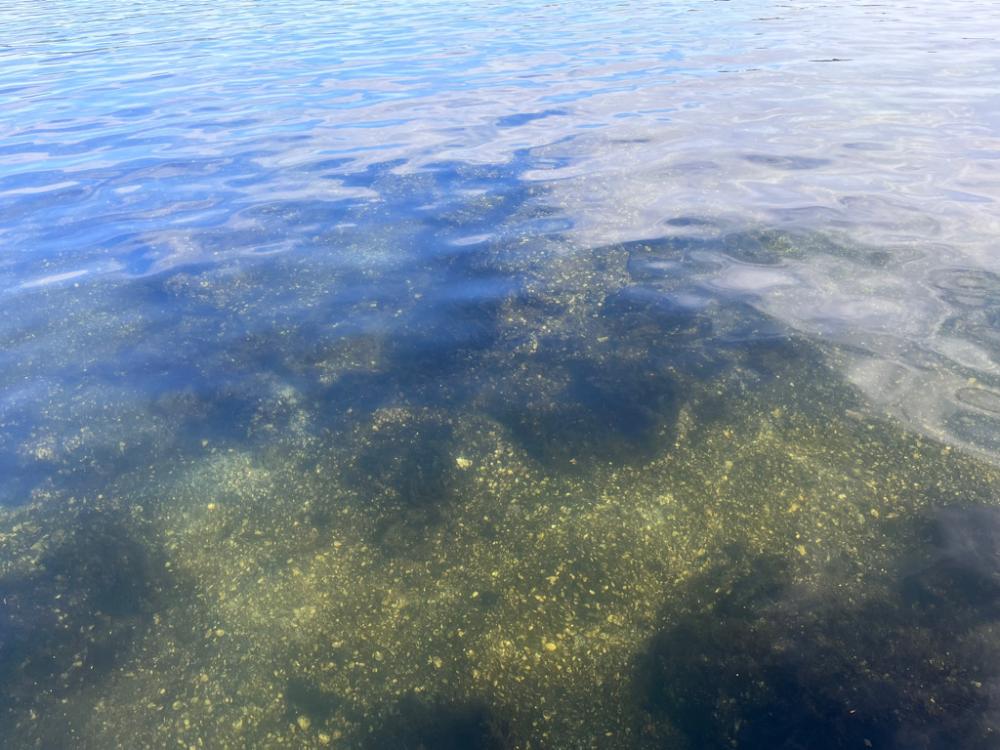 チニング調査 No2