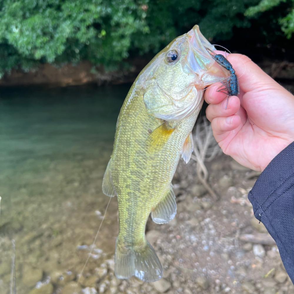 早起きは三文の徳💰笑