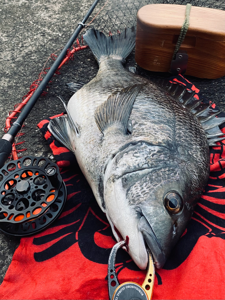 ヘチってきました