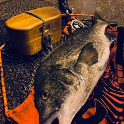 ヘチってきました