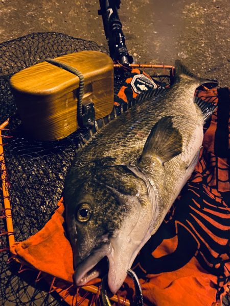 ヘチってきました