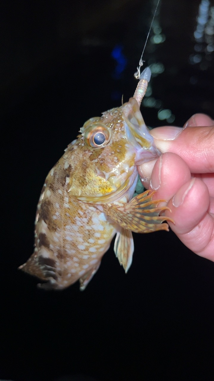 秋のタケノコ掘り♪