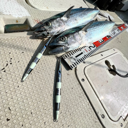 サワラ/ブレードジギング&タチウオ/タチウオジギング