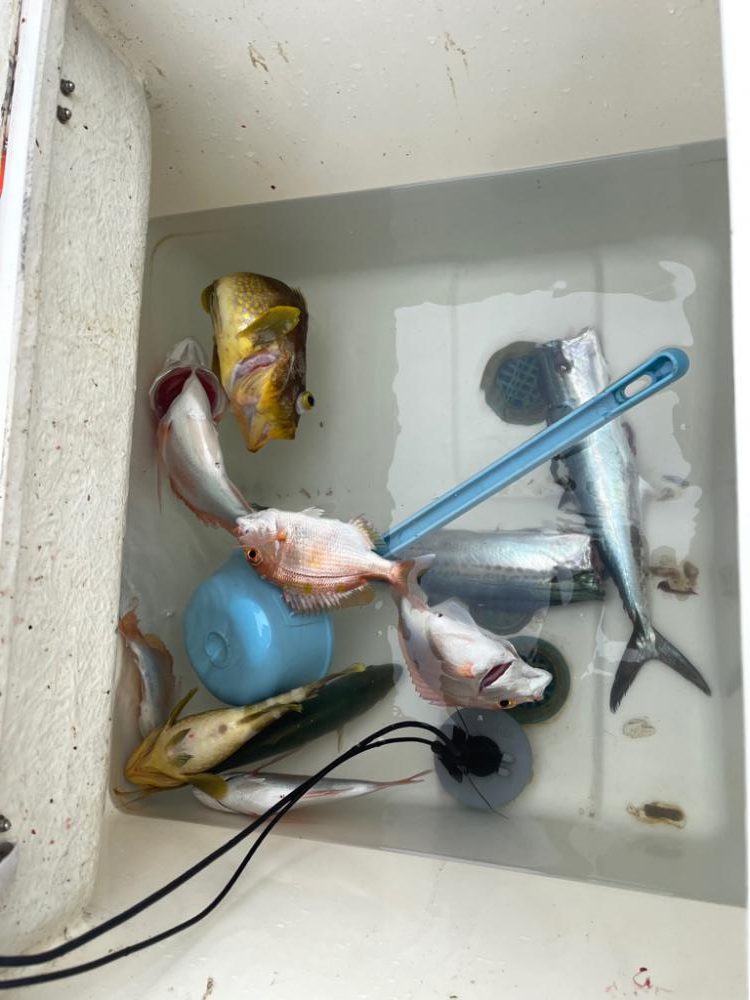 雨予報のマイボート出船