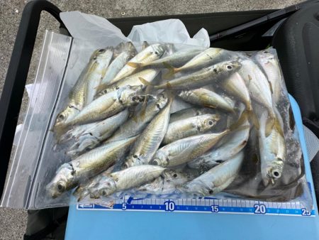 久しぶりの淡路島　津名港バスターミナル裏