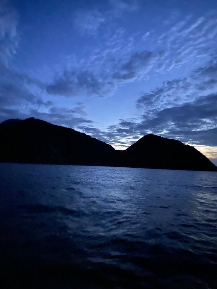 初ナイトティップラン