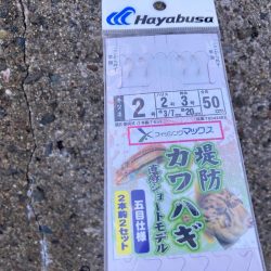 癒しのカワハギゲームにゃ！