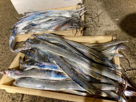 タチウオもジャックアイにゃ！