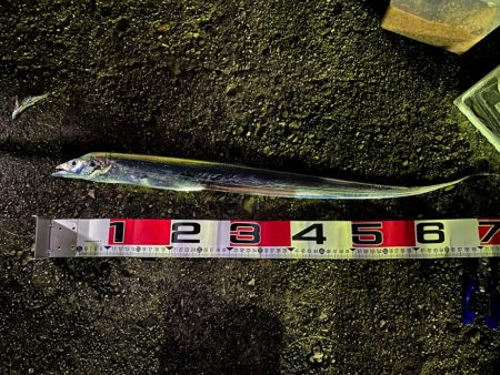 太刀魚釣り、キス釣り