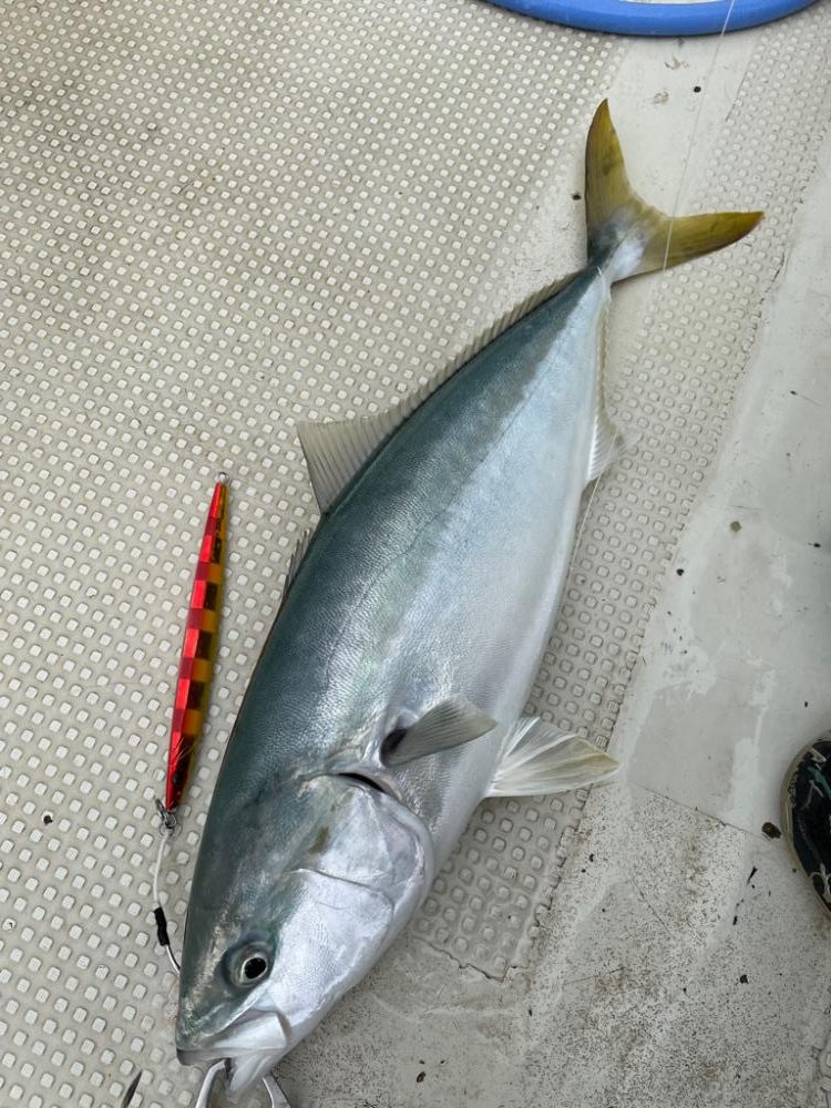 明石沖ジギング