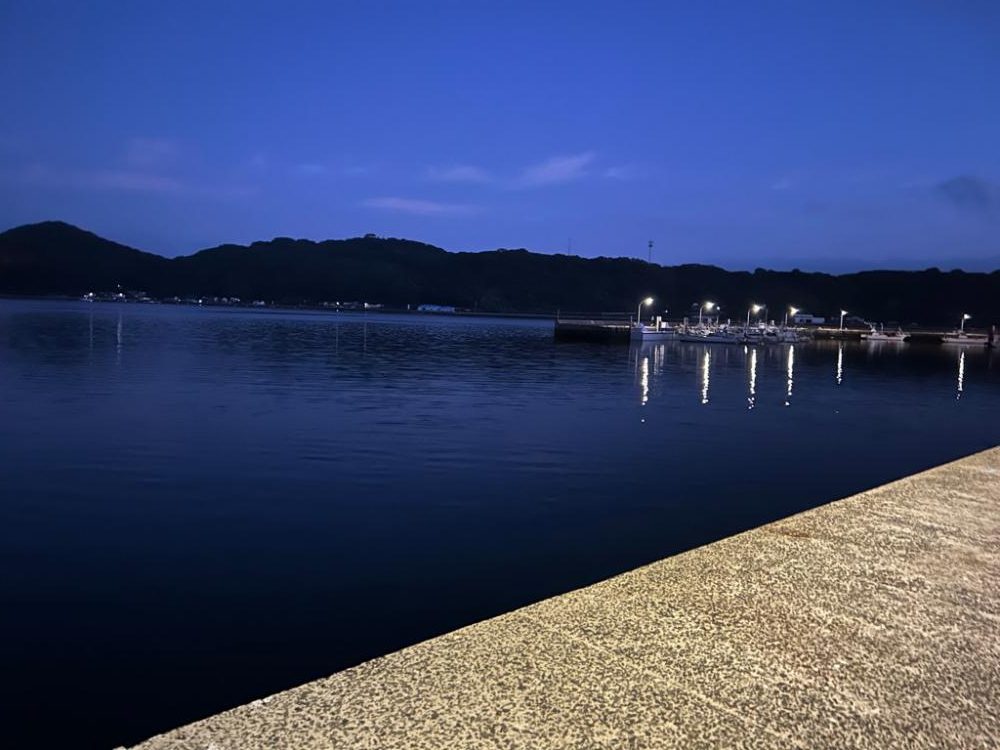 南蛮が食べたくなったのでアジング