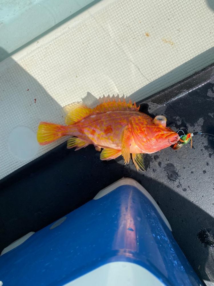 友人のボート釣行