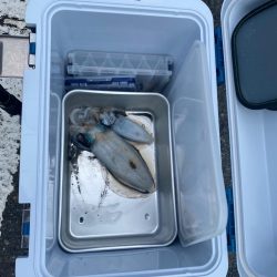 今シーズンの流行カラーは？