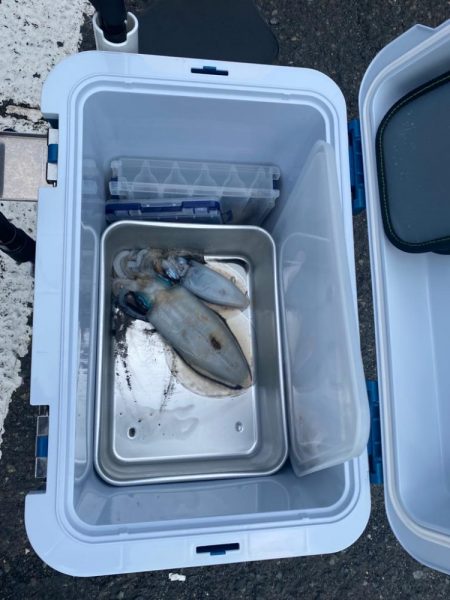 今シーズンの流行カラーは？