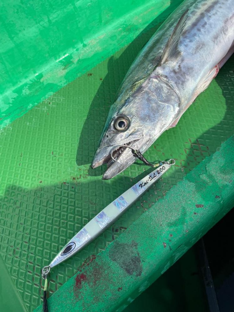 タチウオジギング