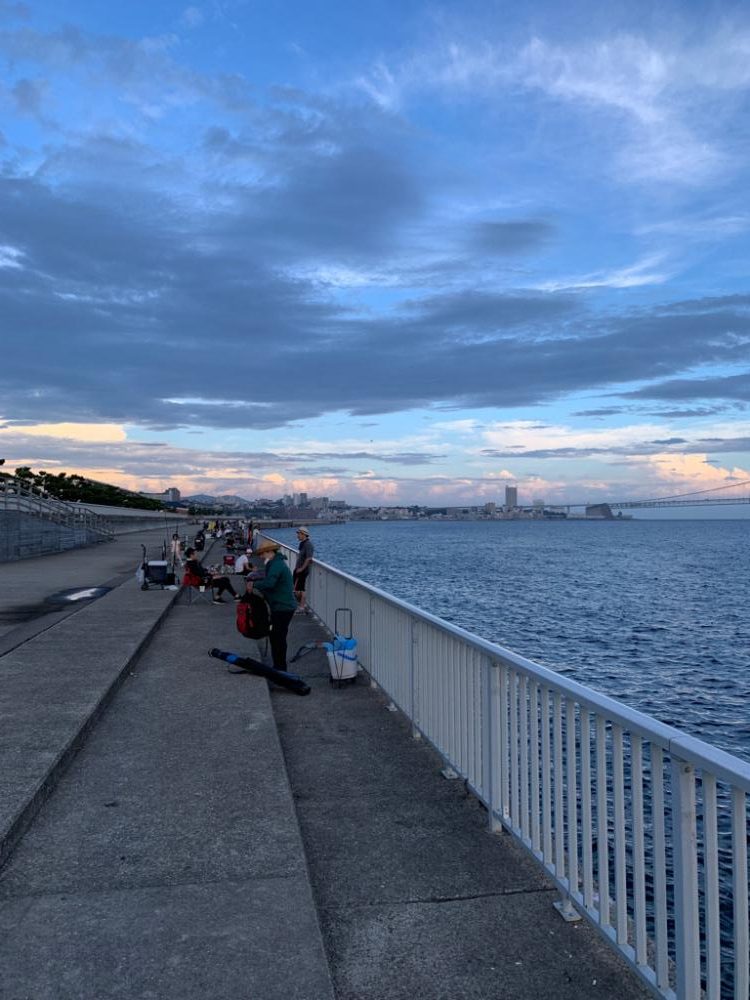 サビキ短時間決戦〜大蔵海岸〜