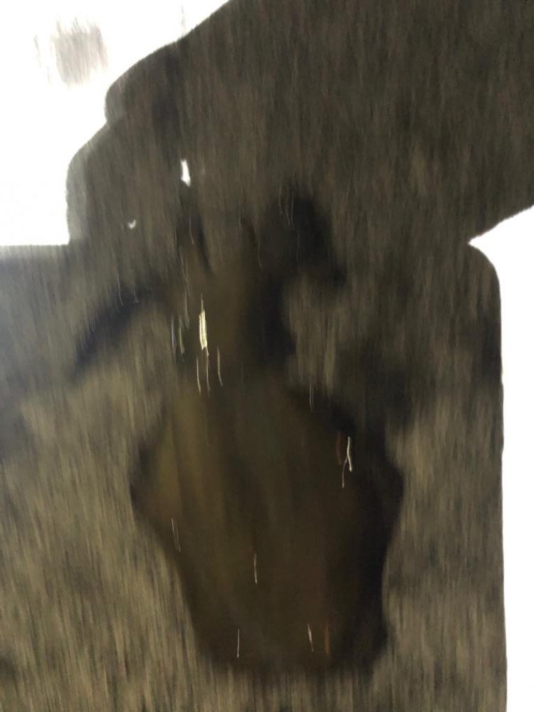 アオリイカ越前調査2回目