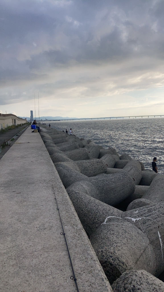 ⭐️手返し重視