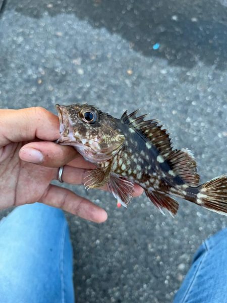 四日市昼間のファミリーフィッシング