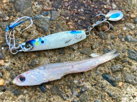 マキマキ20gがベストマッチにゃ！