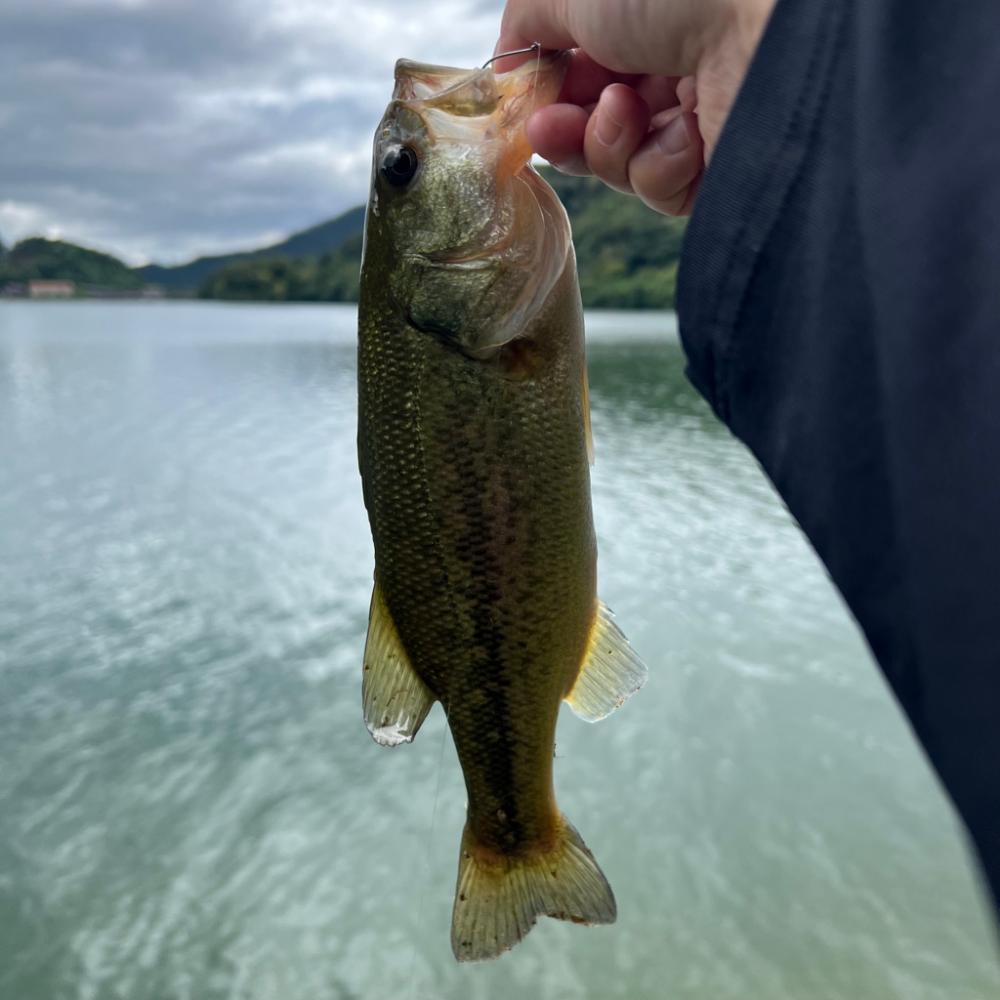 パターン発見💡