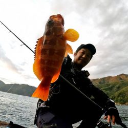 ジャックアイ青物シャッドで根魚も爆釣！