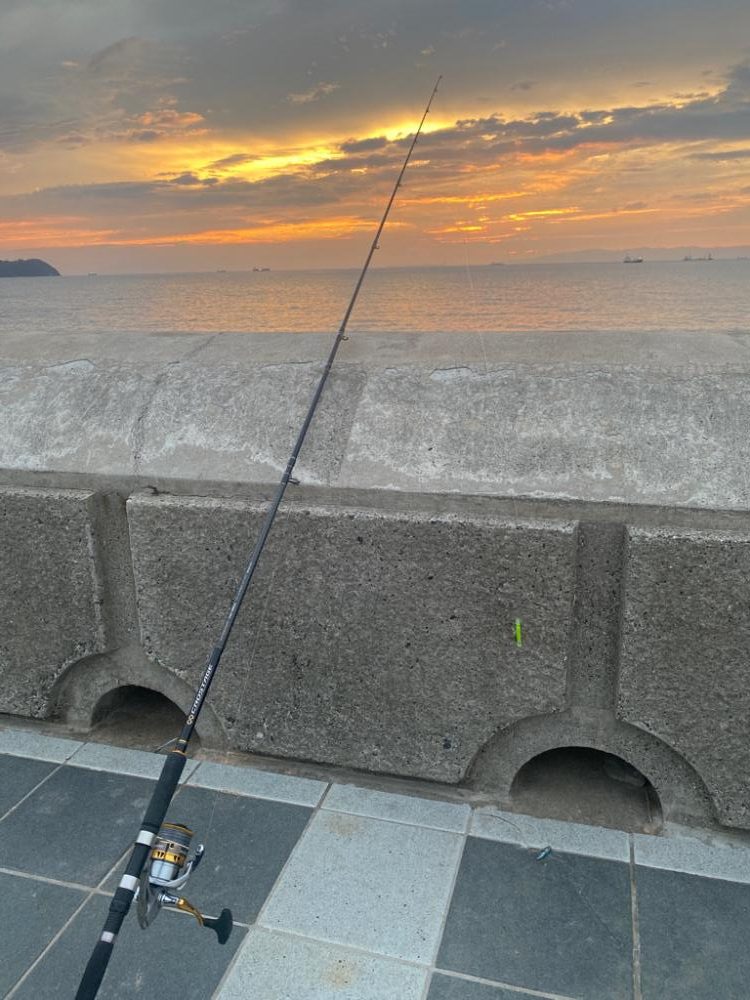 アタリの日でした